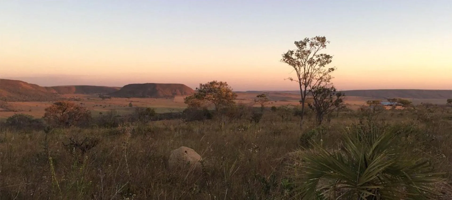 Panorama do Cerrado ao entardecer com chapadas ao fundo e vegetação nativa iluminada pela hora dourada