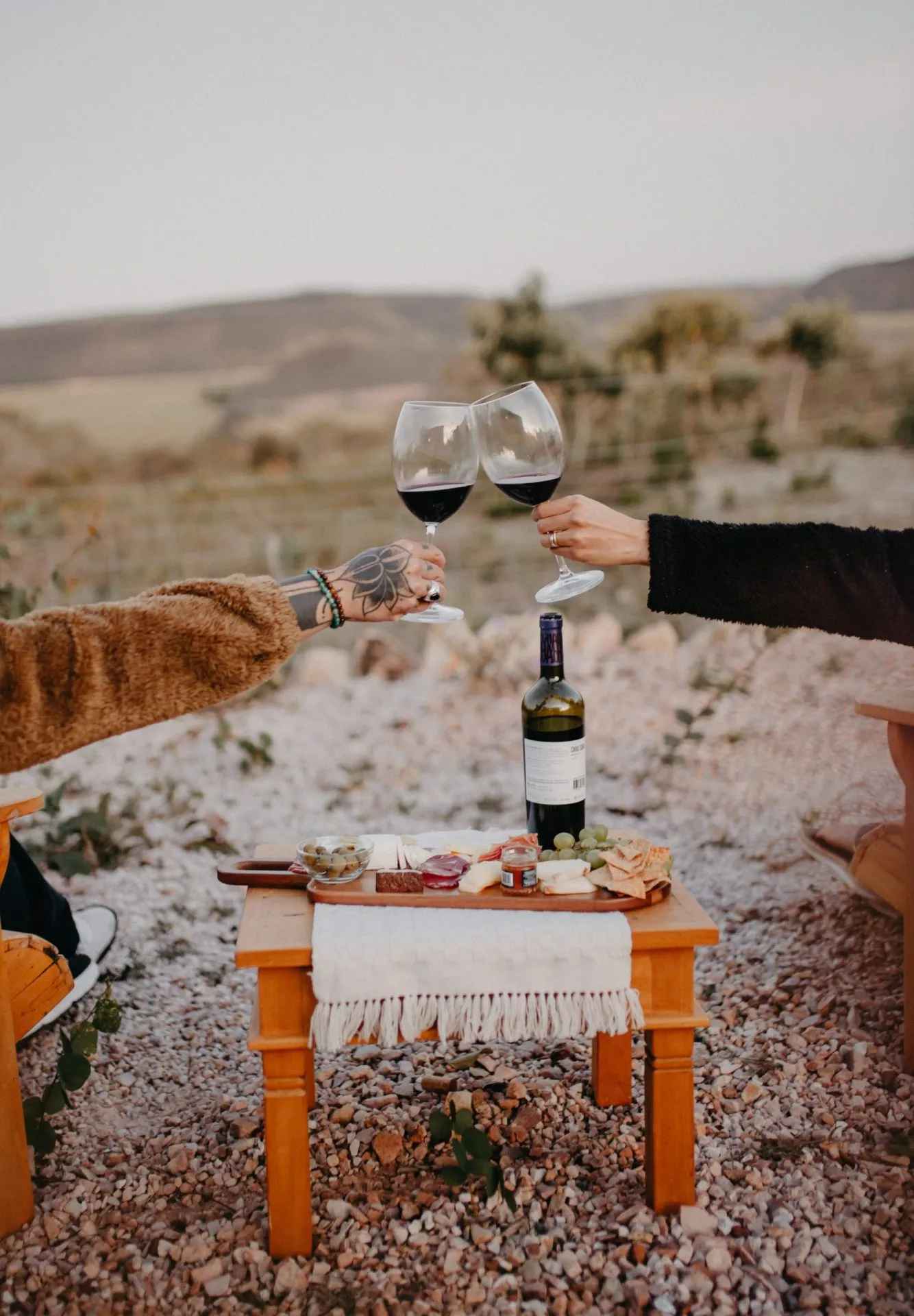 Casal brindando com taças de vinho tinto ao entardecer, tábua de frios sobre mesinha de madeira no Cerrado